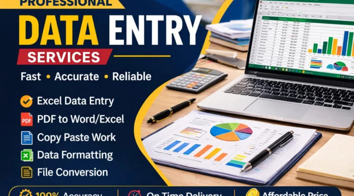 I will do accurate data entry, Excel work and PDF conversion
